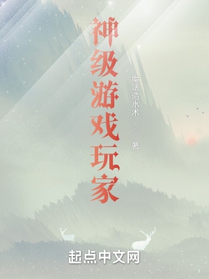 神级游戏玩家