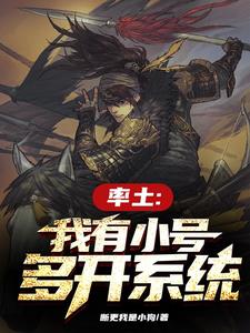 神豪：我在率土三国，氪服一切