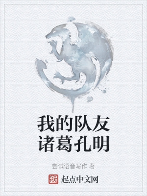我的队友诸葛孔明