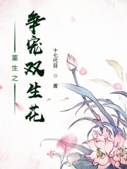 落月双阙