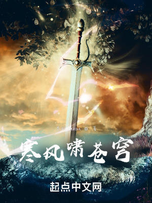 寒风啸苍穹