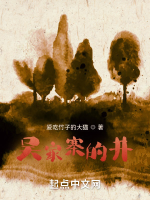 吴家寨的井