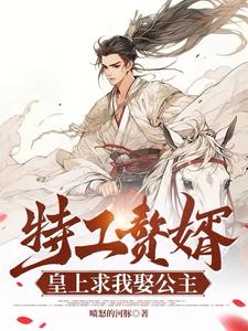 特工赘婿我在古代手搓巴雷特